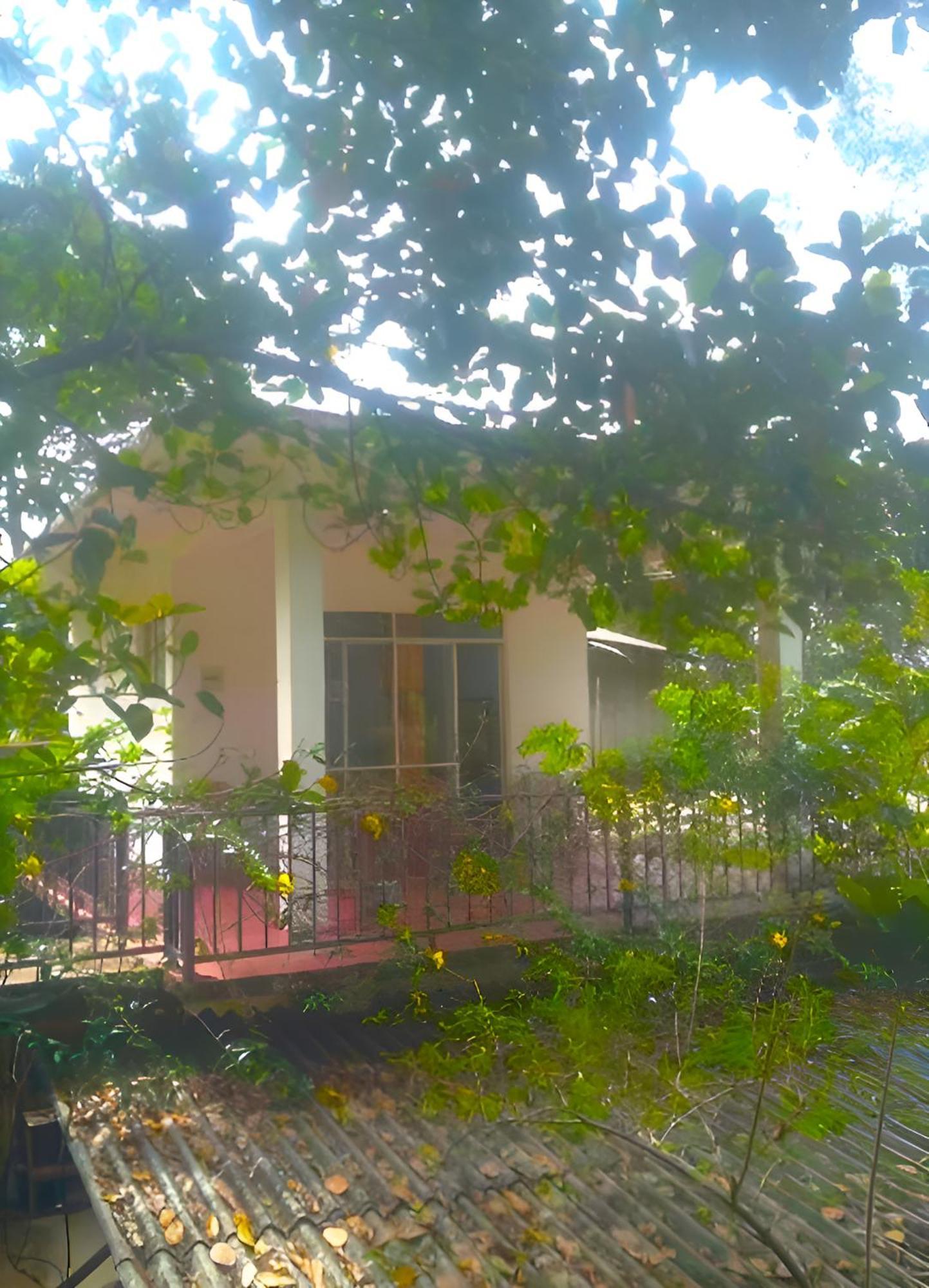 Senehas Homestay Элла Экстерьер фото